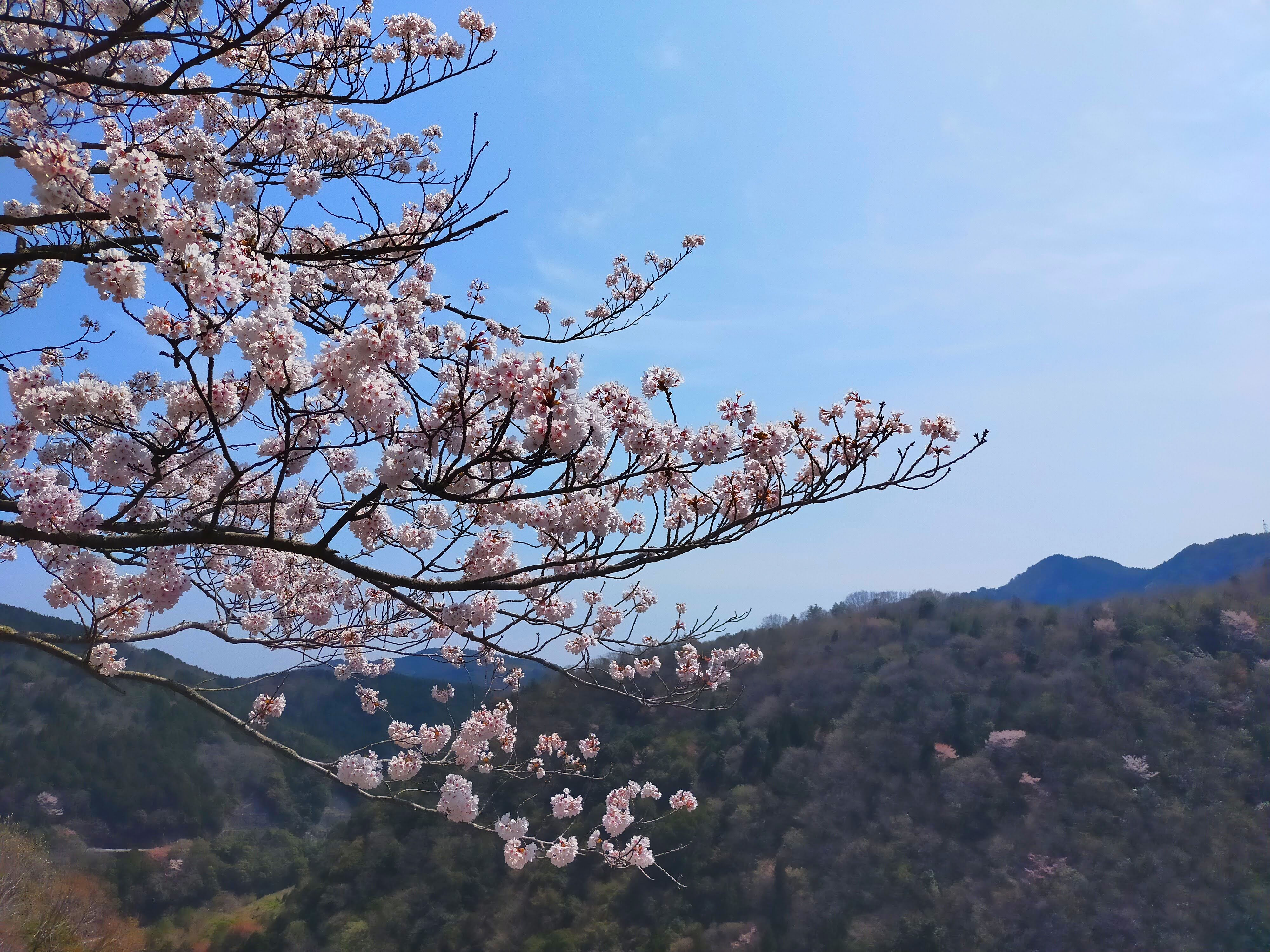 自慢の息子とは程遠い人生になってしまいました…