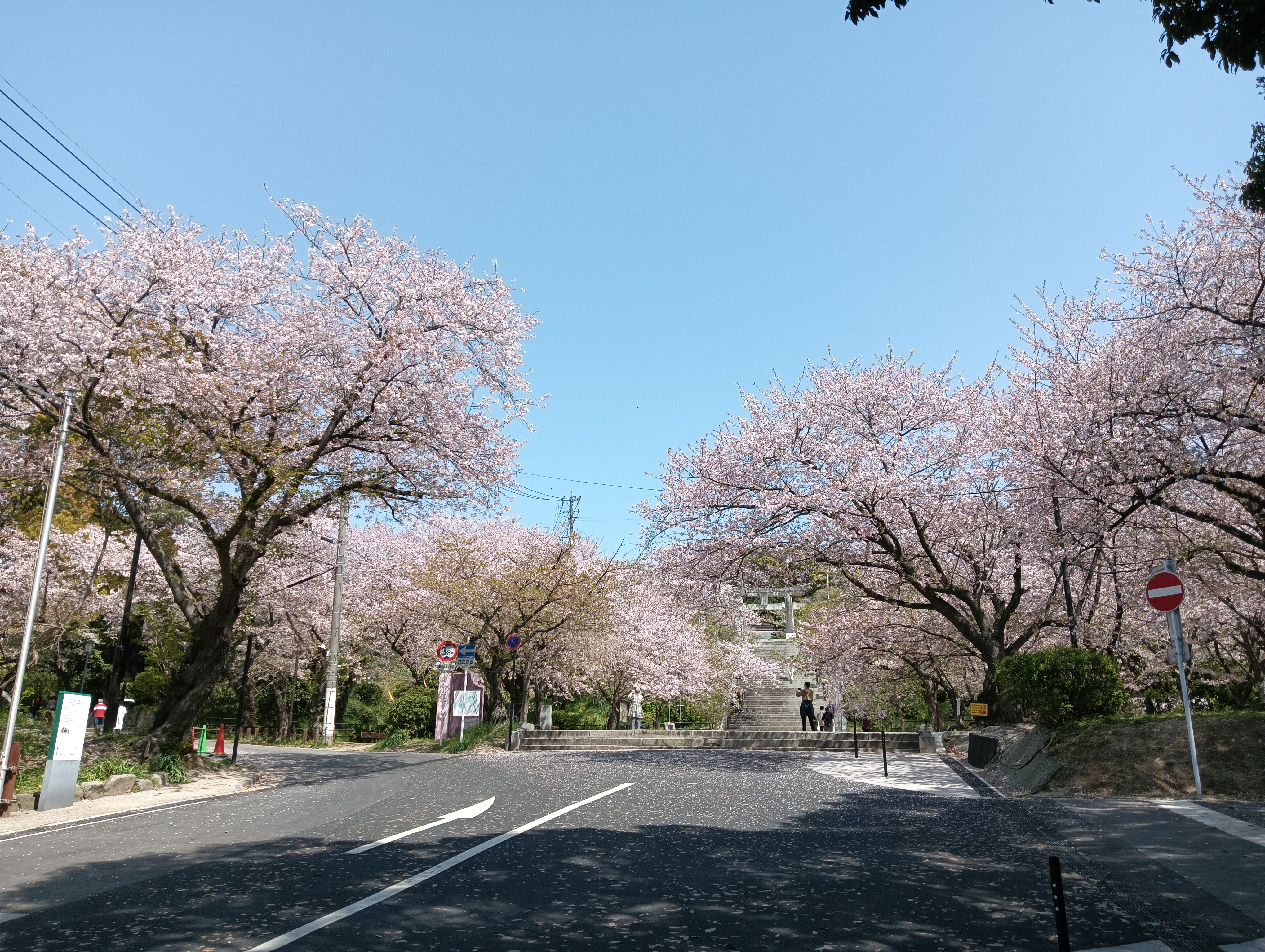 こんな朝礼する会社に入りたいですか？【自分は苦手…】